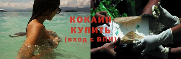 стаф Михайлов