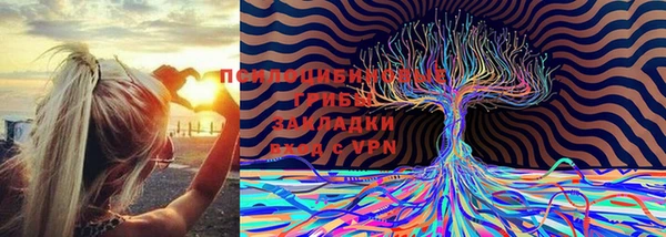 стаф Михайлов