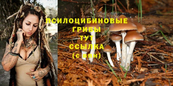 бошки Медногорск